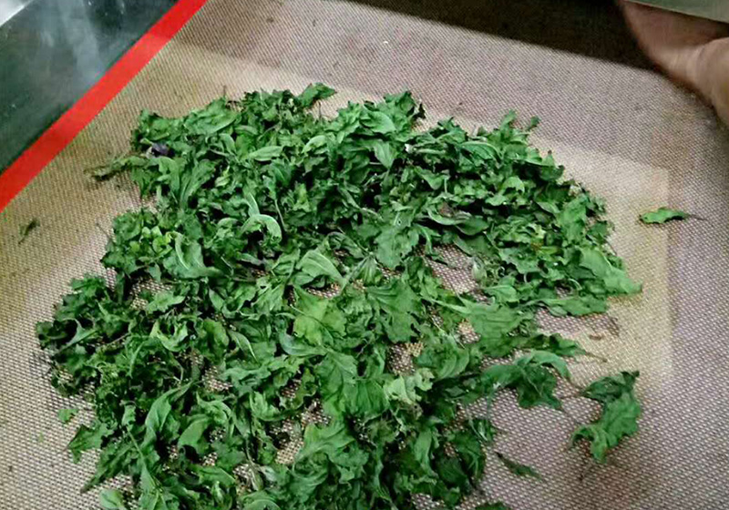 安徽汪先生茶葉殺青烘幹設備-JN-20KW