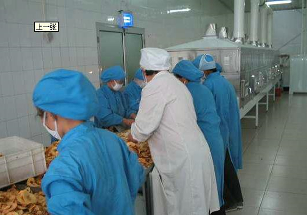 邢台傳洋食品廠選擇成人看片免费幹燥設備