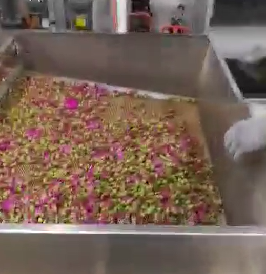 花茶成人看片免费幹燥機應用