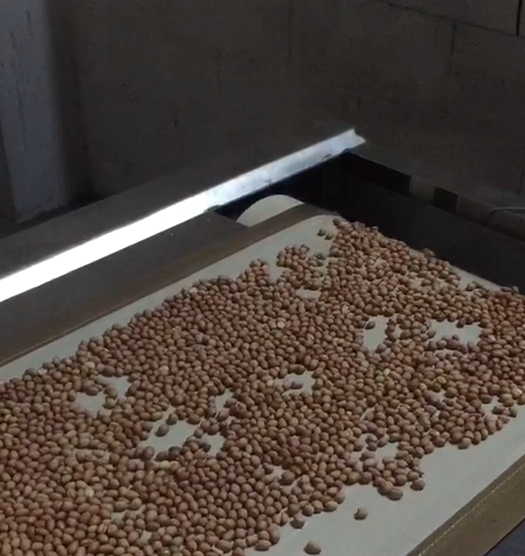 食品成人看片免费幹燥機應用